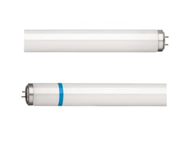 Philips Lighting Actinic BL TL-D Secura lysstofrør på 15 W med hvidt rør, blå markering og G13-stifter.