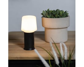 SACKit Base London lampefod i sort stål placeret på et træbord ved siden af en potteplante og tørrede græsstrå.