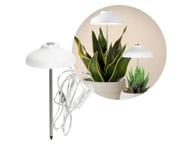 Kobi VERDI hvidt plantelys på spyd med USB-ledning, vist ved siden af planter i potter.