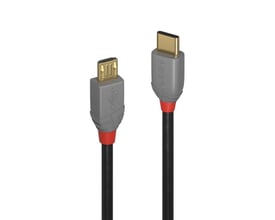 Sort USB 2.0 kabel med type C til Micro-B han-stik og rød/grå detaljer. Kablet er 2 meter langt og har LINDY logo.