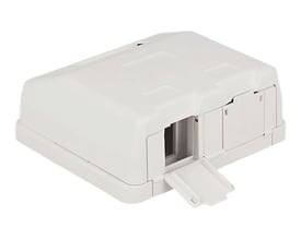 DeLock Keystone overflademonteret boks i hvid plast med plads til to Keystone moduler og åben klap.