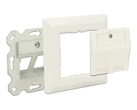 DeLock Keystone-vægudtag med 2 porte i hvid, vist adskilt med frontplade og metalmonteringsramme.