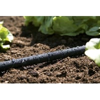 Gardena siveslangest, 15 m