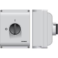 Billede af Sikkerhedsafbryder 63A 4P + H+PE