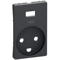 LK FUGA - Afdkning til stikkontakt med jord og USB-lader, 1 modul, koksgr