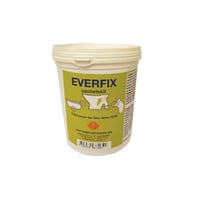 Billede af Everfix sanitet kit, 1,25 kg dse