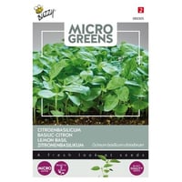 Billede af Restsalg: Citron basilikum Microgreens - Frisk og velsmagende til dine retter! (restsalg)