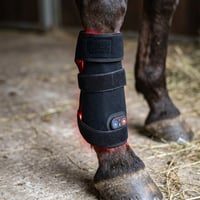 Rdlysterapi gamache til hest - til ben og led, infrard, genopladelig