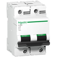 Automatsikring C120H, 2 Polet, 125A, C-karakteristik, 15kA, 230/400V, Bredde 54mm