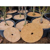 Gefa plantemtte, kokos, 45 cm, 50 stk.