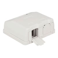 Keystone overflademonteret boks, 2 porte med stvdksel - Delock