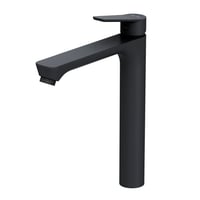 AM.PM Hit hndvaskarmatur, sort (restsalg)