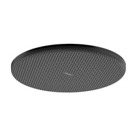 Hansgrohe Raindance Alive S hovedbruser, Ø30 cm, børstet sort krom