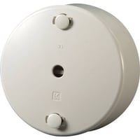 Udlbsroset, 5-polet, hvid