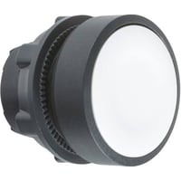 Schneider Harmony trykknaphoved, XB5, hvid,  22 mm