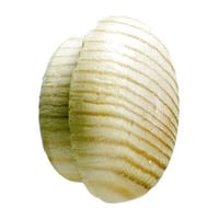 Dkprop, 16,0 x 20 mm, eg