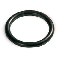 22 Mm Inox/steel O Ring Sort