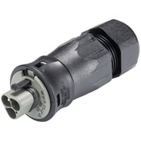 Wieland rst25i3 stik, han, gr,  13-18 mm