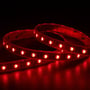 Ansell Lighting E-Cell Eco RGBW LED strip, 5 meter, lyser rødt med synlige LED-dioder på mørk baggrund.
