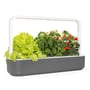 Click and Grow Smart Have 9 i grå med frodig salat, basilikum og tomater vokset under LED-lys.