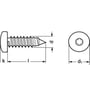 Pladeskrue, panhoved, A2 rustfri, TX 25, 4,8 mm/38 mm
