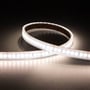 Ansell Lighting P-Cell LED bånd på 5 meter, 24V, viser den fleksible silikone og mange små LED dioder.