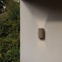 Astro Lighting Dunbar 160 LED væglampe i støbt beton monteret på en lys væg med en frodig grøn busk til venstre.