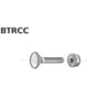 Legrand bræddebolt TRCC M6 x 20 mm med elforzinket overflade og tilhørende møtrik vist separat.