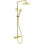 Duravit 1000 brusesystem, guld