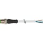 Nærbillede af Murrelektronik M12 han stik, 4-polet A-kodet, med 20 meter grå PVC kabel og afisolerede ledere.