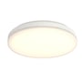 Ansell Lighting Mercurial IP54 plafond set forfra, med synligt, diffust og varmt hvidt lys fra den runde afskærmning.