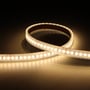 Ansell Lighting P-Cell LED bånd, 10 meter langt, viser 3000K varmt hvidt lys på en mørk baggrund.