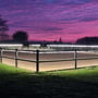 LEDlife LED-strip til ridebane lyser langs hegnet, mens ryttere rider på heste under en farverig aftenhimmel.