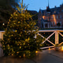 Sirius Knirke juletræslys med 195 klare LED-pærer på grøn ledning, monteret på et juletræ udenfor en bygning om aftenen.