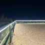 LEDlife ridebanestrip lyser langs ridebanens hegn, set skråt hen over ridebanens sandbund om natten.