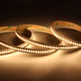 Ansell Lighting P-Cell LED strip på 10 meter med varmt hvidt lys, vist på en mørk baggrund for at fremhæve lyset.