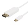 Deltaco USB-C til DisplayPort-kabel set skråt, så begge forgyldte stik og deres åbninger er synlige.