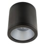 SG Armaturen Rax Soft Surface 150, sort udendørs downlight med 3700lm og 4000K, vist med et satineret glas.