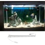 LEDlife LED-lys på 1 meter i aluprofil med stik, monteret over et akvarium med fisk og planter.