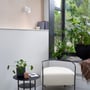 Astro Lighting Ascoli Single spotlampe ses på væggen over en hylde i en lys stue med planter og vinduer.