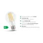 SpectrumLED A60 LED-pære med klart glas og E27-fatning ved siden af en grøn energiklasse A-pil.