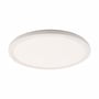 SpectrumLED Nymphea Flat Duo LED-loftlampe på 24 W ses skråt forfra med rund, hvid lysflade og kant.