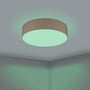 EGLO Romao-Z loftslampe Ø570mm i taupe med cirkulær, mat overflade, der afgiver et blødt, grønligt lys.