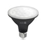 Kobi PLANTY LED-grolyspære på 9 W set forfra med synlige LED'er, sort hus og E27-sokkel.