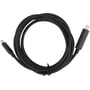 Sort USB-C til Mini DisplayPort-kabel på 1 meter ligger sammenrullet med begge guldbelagte stik synlige.