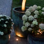 Light By Juul Cosmos kantblok i messing grå belyst i en have om aftenen, placeret mellem blomsterpotter og et træ.