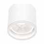 SpectrumLED Chloe udendørs loftlampe til AR111 GU10 set lige forfra med den hvide kant og reflektoren tydeligt synlig.