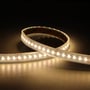 Ansell Lighting P-Cell RGBW LED strip, 50m, 24V, hvidt lys, på mørk baggrund.