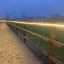 LEDlife ridebane LED-strip, Type Q, lyser som en sammenhængende linje oven på træhegnet langs banen.