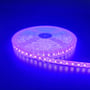 Tættere på en lilla 5 meter LED strip, viser oprulning på spole med 120 LED pr. meter, 10W/m.